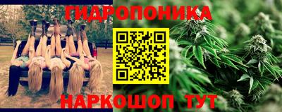 ГАЛЛЮЦИНОГЕННЫЕ ГРИБЫ Чебаркуль